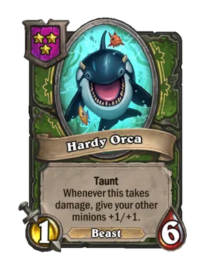 Hardy Orca