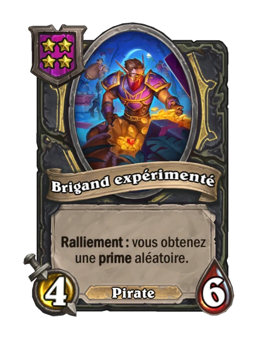 Brigand expérimenté