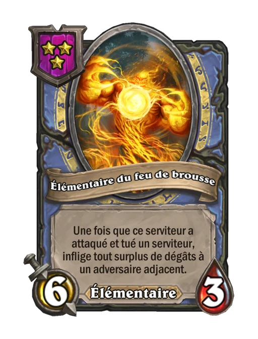 Élémentaire du feu de brousse