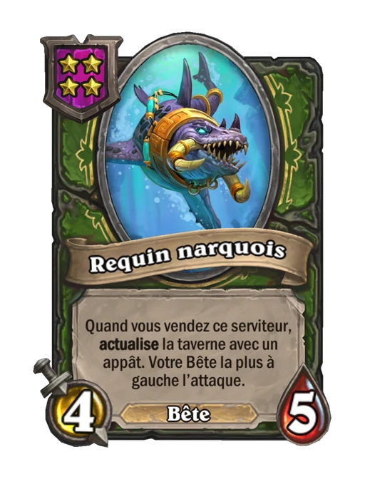 Requin narquois