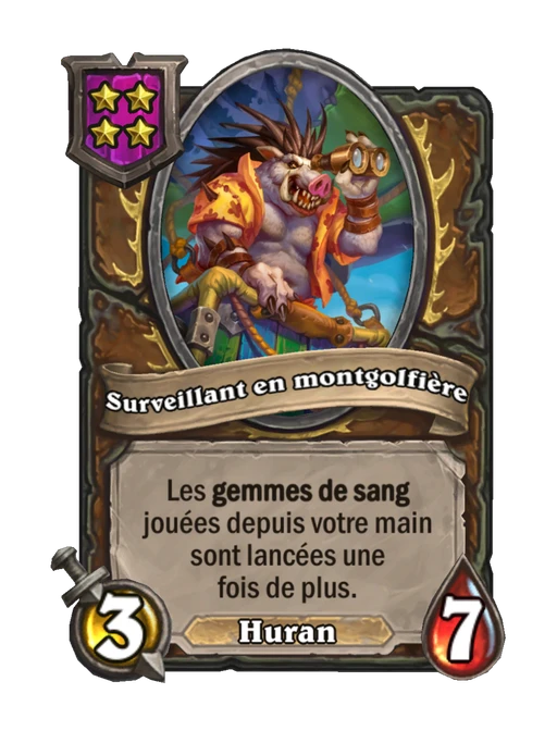 Surveillant en montgolfière
